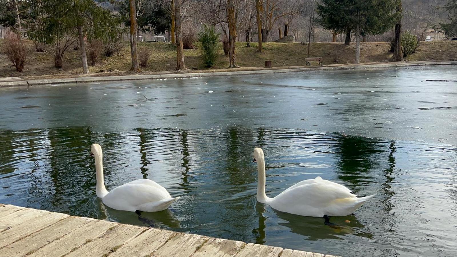 Apartament Del Llac Osséja المظهر الخارجي الصورة